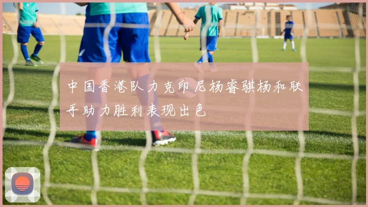 中国香港队力克印尼杨睿骐杨和联手助力胜利表现出色